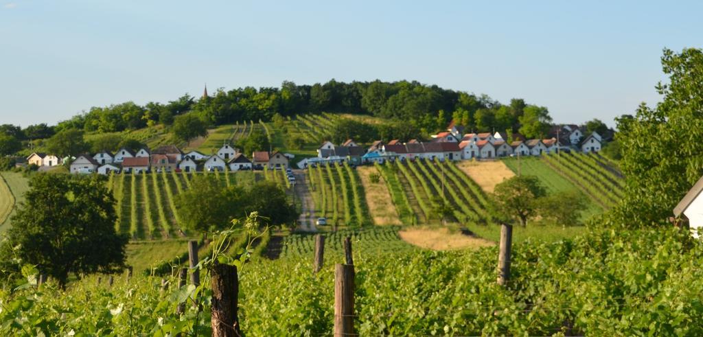 Ferienwohnung Herrmann Pottenhofen Екстериор снимка
